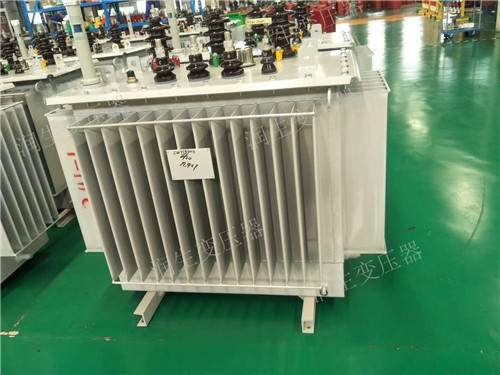 泸西S22-1600KVA/10KV/0.4KV油浸式变压器